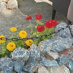 L' Campagnarde, Lourdes Hotel