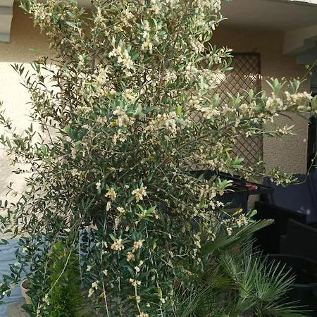 L' Campagnarde, Lourdes 2* Poueyferré