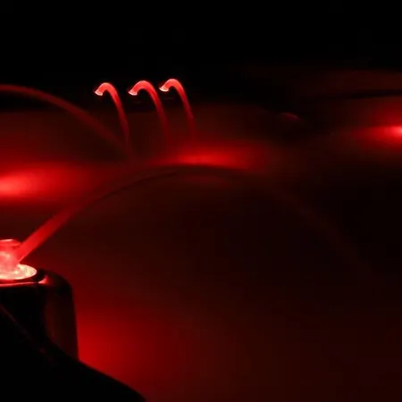 L' Campagnarde, Lourdes