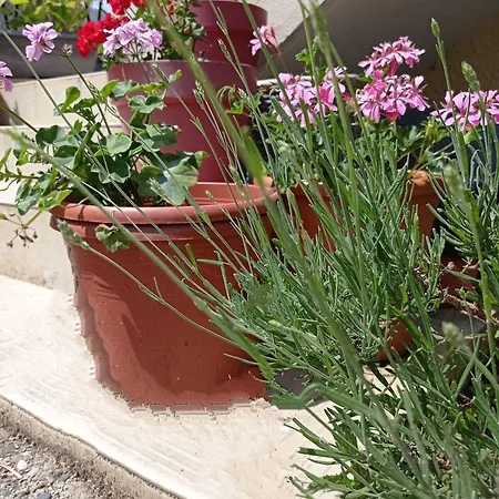 L' Campagnarde, Lourdes Sauna Restaurant Hotel Poueyferré