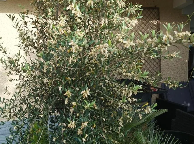 L' Campagnarde, Lourdes 2* Poueyferré